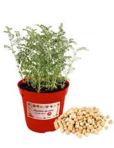 CECE vaso diametro 14