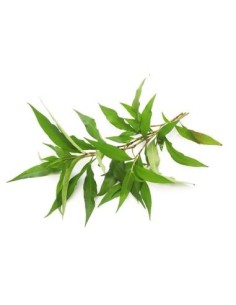 Pepe Acqua (rosso) Vaso diametro 14