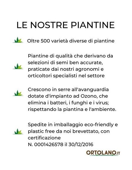 Pepe Acqua (rosso) Vaso diametro 14