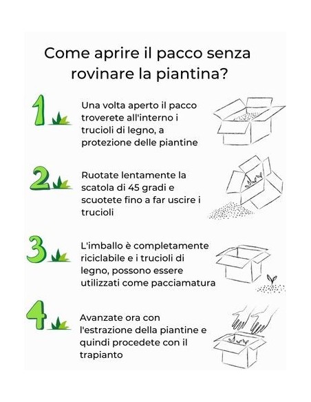 Pepe Acqua (rosso) Vaso diametro 14