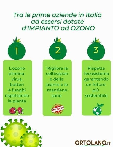 Pepe Acqua (rosso) Vaso diametro 14