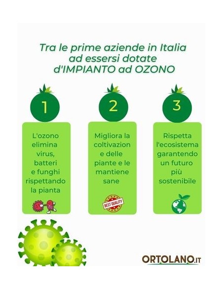 Pepe Acqua (rosso) Vaso diametro 14