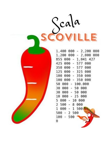 Peperoncino Ornamentale Multicolor vaso diametro 14