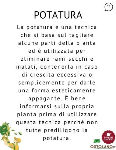 Seghetto pieghevole lama 18 Cm