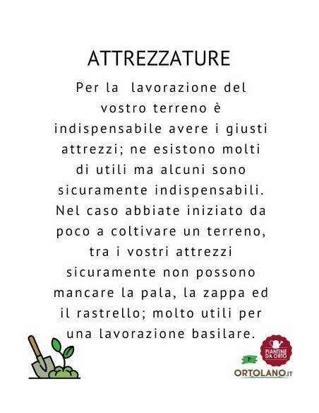 Zappa quadra bidente