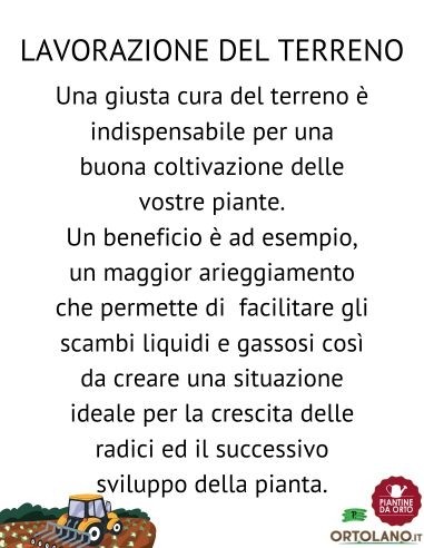 Pompa a pressione professionale - 2 lt