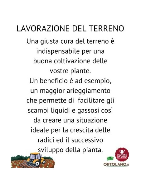 Pompa a pressione professionale - 2 lt