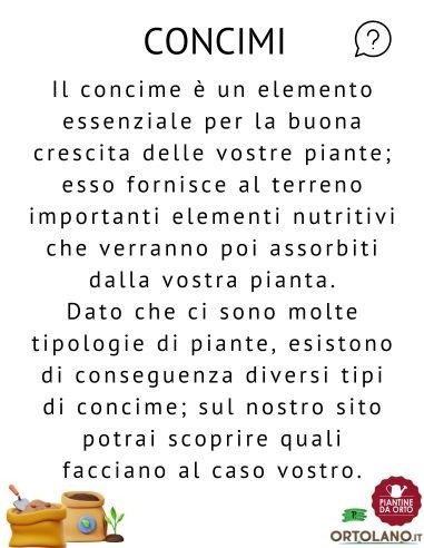 Pompa a pressione professionale - 2 lt