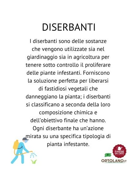 Pompa a pressione professionale - 2 lt