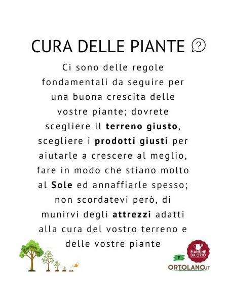 Pompa a pressione 5 L