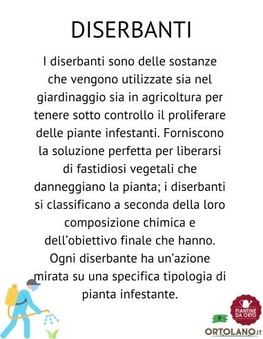 Telo per Pacciamatura in Polipropilene 5x2,1 M