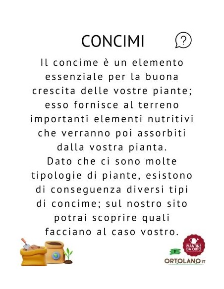 Velo Protezione in TNT 10x1,6 M