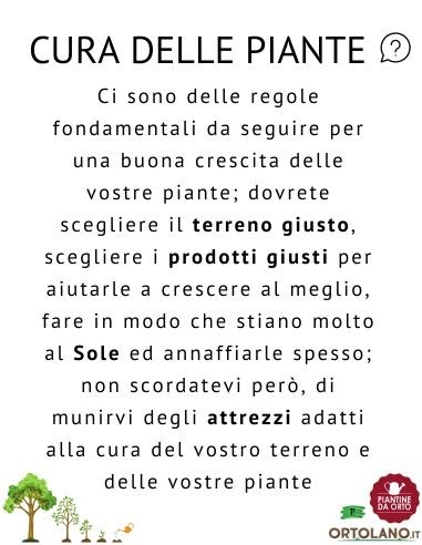 Velo Protezione in TNT 10x2,4 M