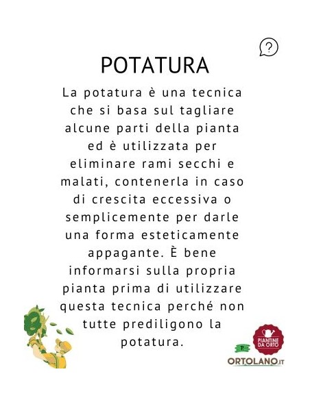 Telo di Forzatura Trasparente 10x2 M