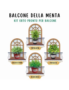 Box Balcone della Menta