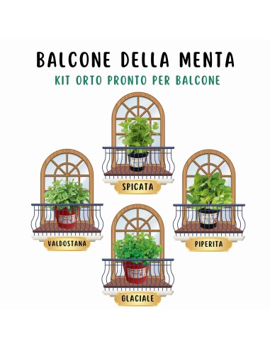 Box Balcone della Menta