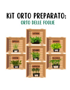 Orto delle foglie_Kit Orto Pronto
