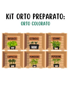 Orto colorato_Kit Orto Pronto