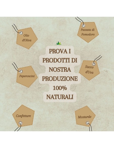 Crema di Zucca 100% Naturale