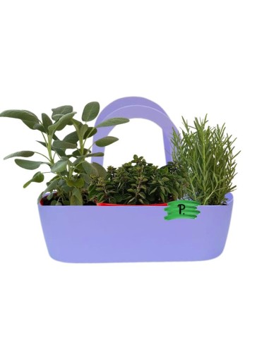 Aromi Bag  composta da Rosmarino Salvia Origano