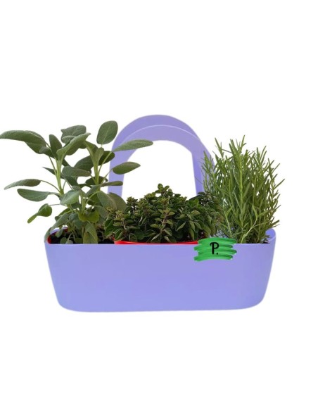 Aromi Bag  composta da Rosmarino Salvia Origano