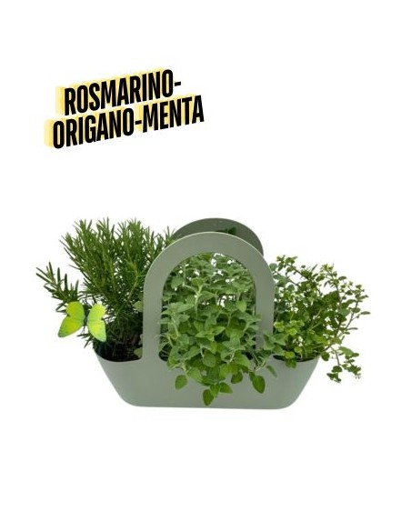 Aromi Bag composta da Rosmarino-Origano-Menta