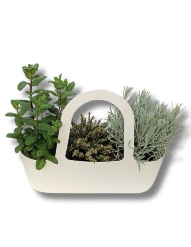 Aromi Bag  composta da Menta-Timo Aureo-Lavanda