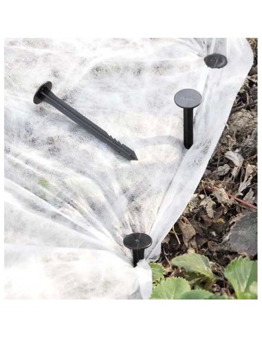 Chiodo fissatelo e ferma-film (Codice 4429)