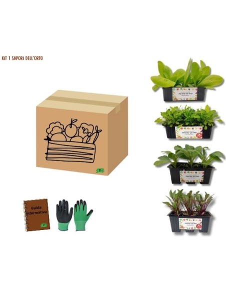 Kit 1 Sapori dell’Orto