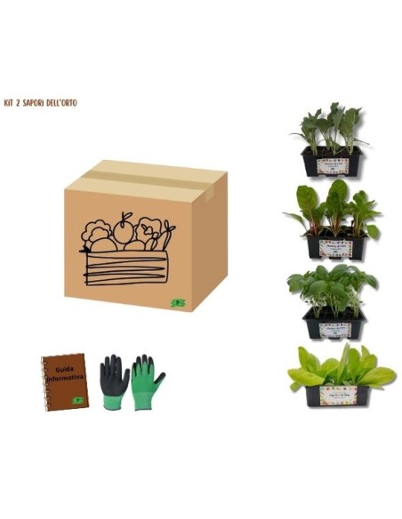 Kit 2 Sapori dell’Orto