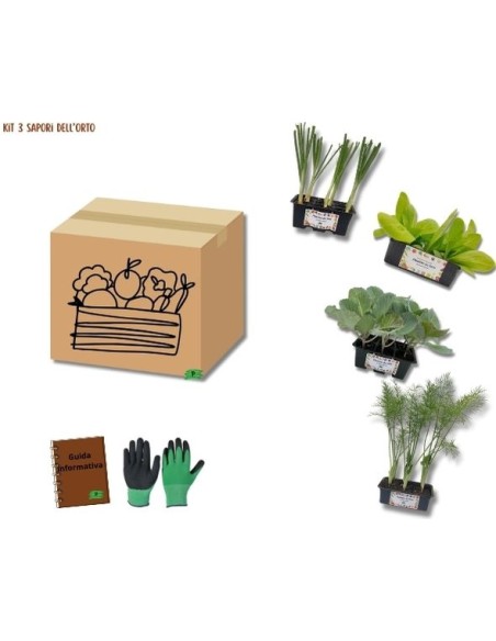 KIT 3 Sapori dell’Orto