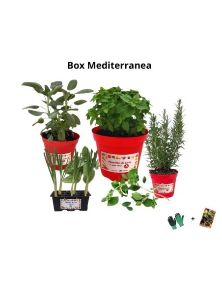 Box Mediterranea – I sapori autentici