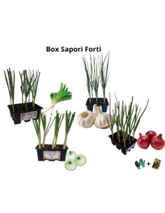 Box Sapori Forti – Intensità e carattere in cucina