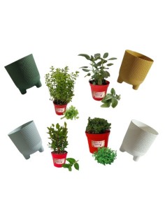 VASO EOLO personalizzabile