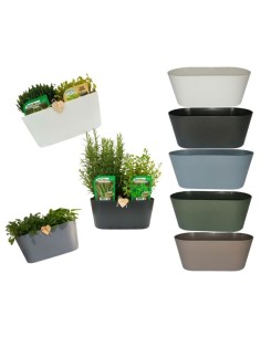 Aromi cassetta da personalizzare