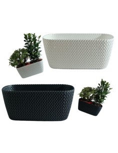 Aromi Cassetta "Splofy"  design intrecciato...