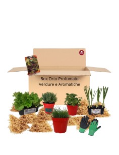 Box Orto Profumato – Verdure e Aromatiche