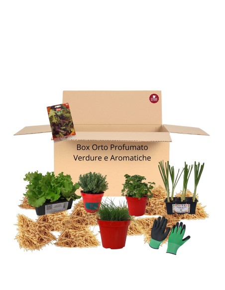Box Orto Profumato – Verdure e Aromatiche
