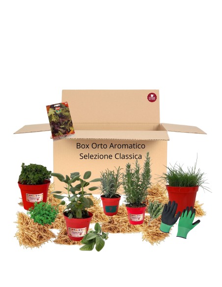 Box Orto Aromatico – Selezione Classica