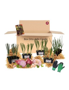 Box Orto delle Cipolle