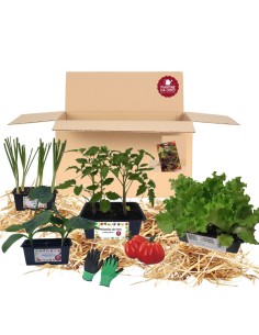 Box Orto di Primavera