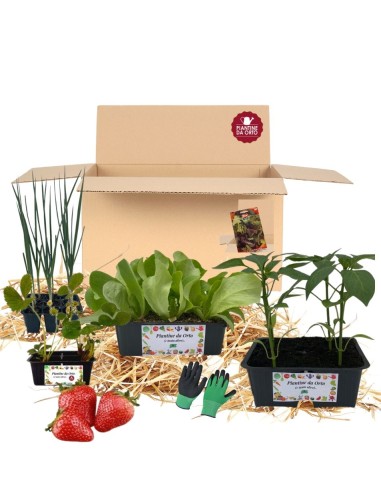 Box Orto Mix Salvaspazio