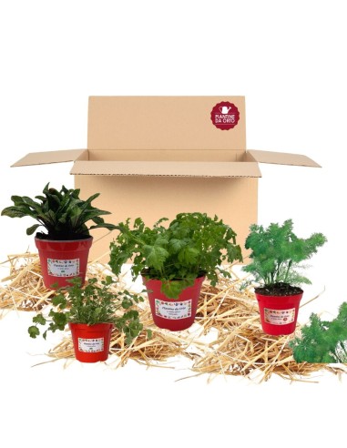 Box Balcone dei dolci