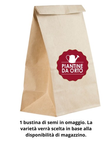 Box Minestrone d'Inverno – 36 Piantine