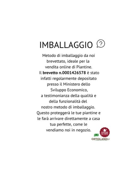 Box Minestrone d'Inverno – 36 Piantine