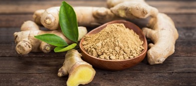 Zenzero: come coltivare in casa una radice portentosa