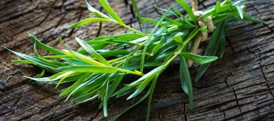 Dragoncello: come usarlo (e sostituirlo) in cucina