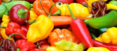 Breve viaggio tra i peperoncini più piccanti al mondo