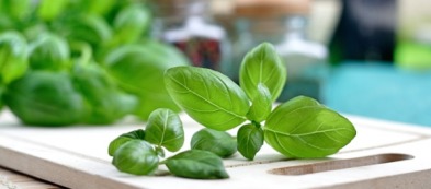 Basilico: 9 varietà diverse da coltivare