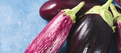 Coltivare le melanzane: una guida per l'orto domestico